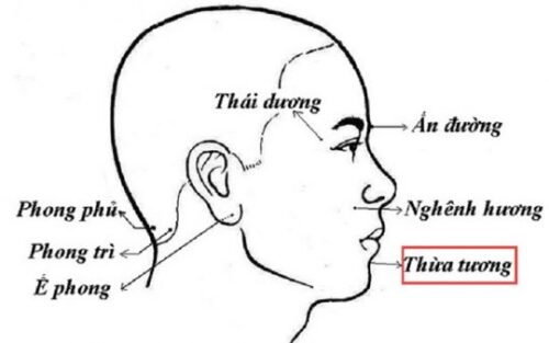 huyet thua tuong thumb 540x338 1