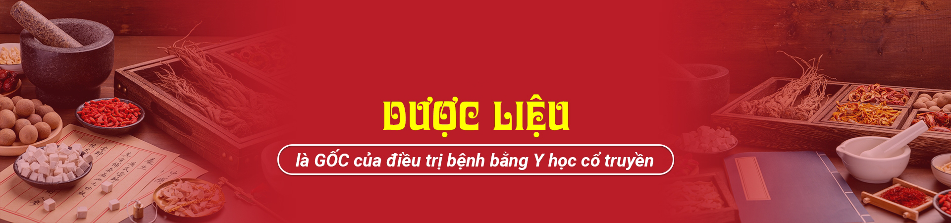 slide duoclieu 1