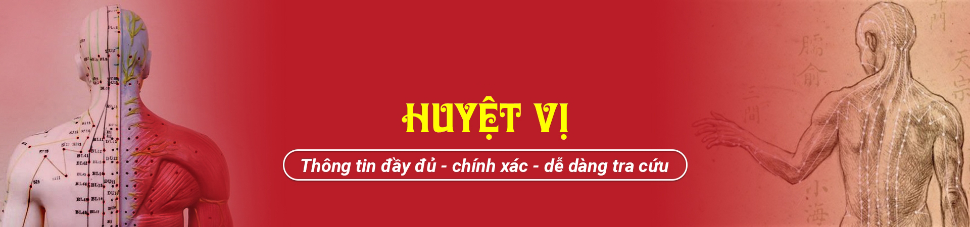 slide huyetvi